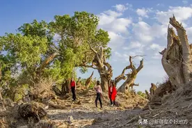 七月，在新疆来一场自驾游吧～图片