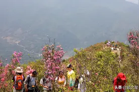 鄞奉交界的白岩山，金峨山，都是宁波的网红山图片