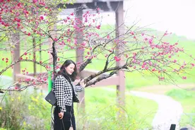 株洲何处适宜赏花踏春 请你看看这份指南图片