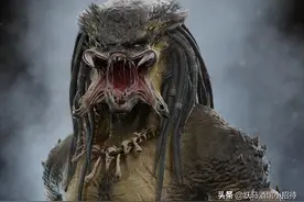 一篇文章了解全部关于铁血战士的资料图片