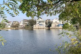 在这里！颜值与实力并存~图片