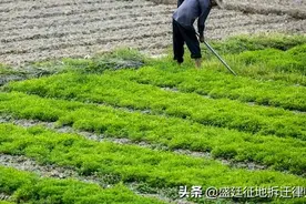 村委会可以随意处置征收补偿款，想留多少留多少？错！有办法应对图片