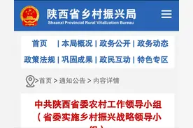 陕西这些县被确定为乡村振兴重点帮扶县图片