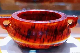 花梨公是什么？图片