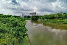 深圳观澜河：河清岸绿，还有垂钓者，这才是人与自然和谐的画面图片