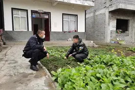小成的重生与回归——中屯派出所帮扶贫困吸毒人员侧记图片