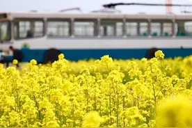 山东交通大学？山东交通学院已预定，蓝图显示2025年更名图片