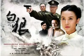“狼”系列谍战剧:白狼，独狼，浴血擒狼，猎狼人潜入与狼共舞！图片