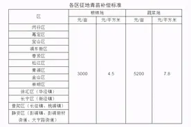 上海市征地青苗补偿标准（2020）图片