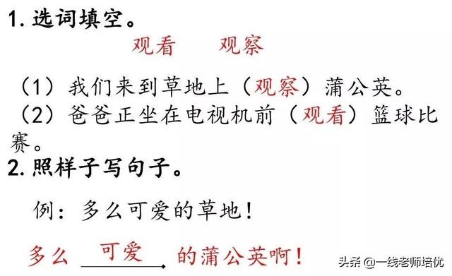 知识点+练习题 】部编版三年级语文上册 16 金色的草地