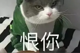 表情包：你击中我的心了图片