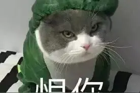 表情包：你击中我的心了图片
