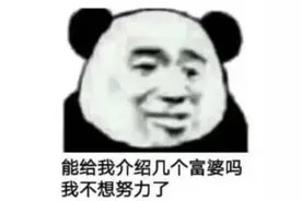 表情包 | 能给我介绍几个富婆吗？我不想努力了图片