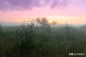 晨光熹微朝霞彤 烟水迷朦锁江红...图片
