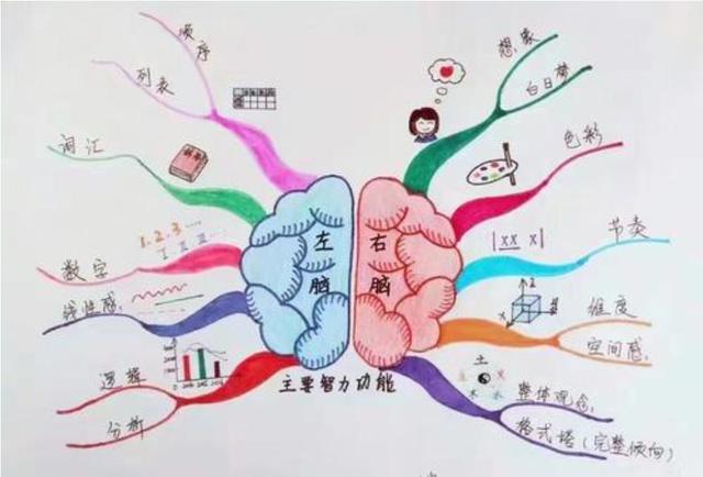 给孩子上全脑开发课真的有必要吗？切记不要让孩子做“半路出家”