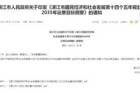 总投资215亿！玉林又一条城际铁路规划出炉！还有张海高铁…图片