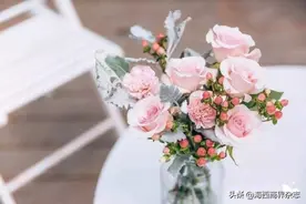 罗永浩卖花翻车，背后电商巨头获高圆圆投资，2年卖掉3亿支花图片