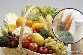 2021上海酵素展暨酵素节资讯食用酵素的营养功效及研究进展图片