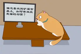 猫喜欢到铲屎官的桌子上，如何有效改变猫的习惯，要观察猫的意图图片