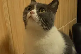 温州高中排行榜图片