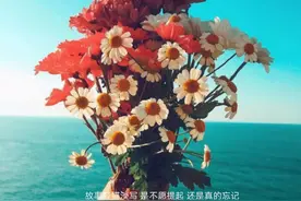 这个季节很干净，没有故事没有你图片