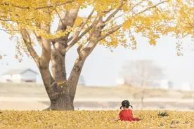 有个会拍照的爸爸，每张照都美如画图片