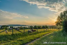 两年内全国建成2万个森林乡村，如何申报国家森林乡村？图片