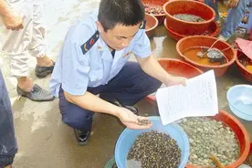 这两种海鲜有毒，请谨慎食用，之前已出现中毒事件，快告诉身边人图片