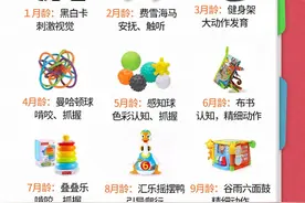 0-12月龄宝宝玩具推荐，买的多不如买的精图片