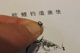 《话说欧鲤钓》第二版 打结篇图片