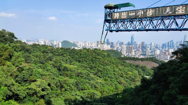 震惊！原来草鱼这样钓竟然可以爆护！