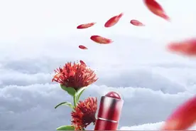 定位中草药护肤，外资和本土品牌都分别有哪些机遇？图片