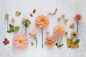 5.4青年节激励祝福语短信，愿你青春常在，笑口常开！图片
