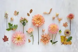 5.4青年节激励祝福语短信，愿你青春常在，笑口常开！图片