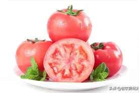 西红柿为何越来越难吃？科学家研究发现：西红柿早就彻底变味了图片