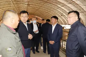 中国邮政集团有限公司副总经理、中国邮政储蓄银行行长刘建军来梨树县调研图片