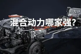 真实数据调查：混合动力哪家强？图片