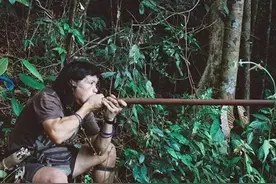 我军装备吹箭武器，吹口气就取人性命！性能强悍，还能杀野猪图片