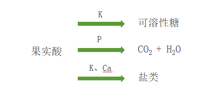 很多人对柑橘着色、增甜一知半解！掌握原理，才能根本解决问题