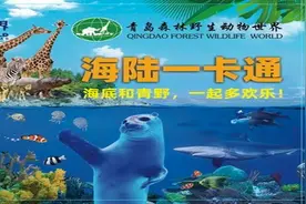 海陆一卡通，欢乐两世界！图片