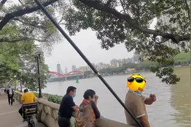 广州珠江边，罕见大鳖浮头换气，江边男子眼疾手快抄网捞起图片