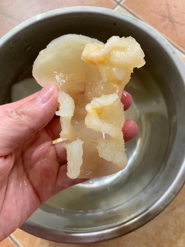蝴蝶胶怎么吃 蝴蝶胶吃法