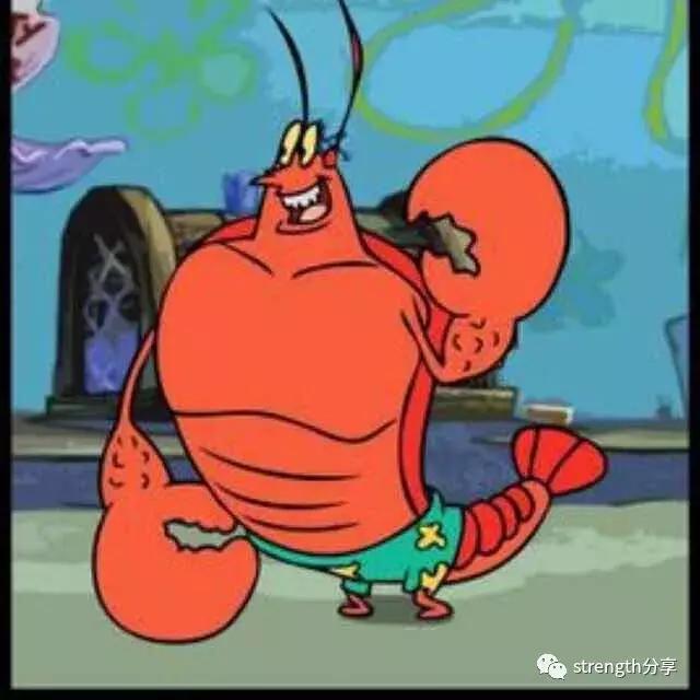 BCAA支链氨基酸的秘密