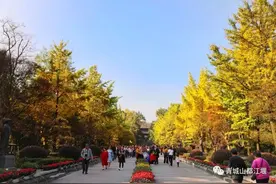 坐上公交去旅行！跟着这条101路线，带你玩遍大半个都江堰～一站一景，吃喝玩乐一网打尽！图片