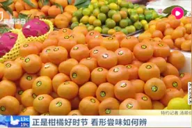 吃柑橘的好时节到啦！柑橘橙如何区分呢？快来学习一下吧！视频封面