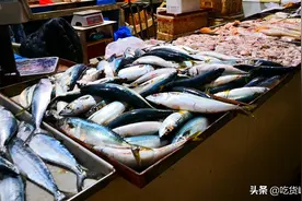 立秋后，如果不差钱，记得吃这5种海鲜，鲜美营养高，错过了可惜图片