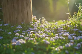 生命里出现的这三个人，其实是来渡你的图片