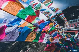 背上小猪去旅行（第一季）自驾穿越中国｜初级徒步认证图片