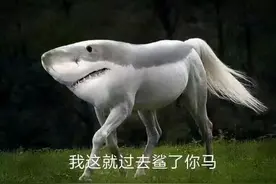 外卖骑手当街虐猫，网友彻底炸了图片