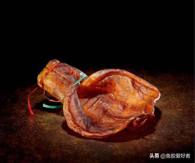 鱼胶是不是越大越好 2026年鱼胶是不是越大越好呢